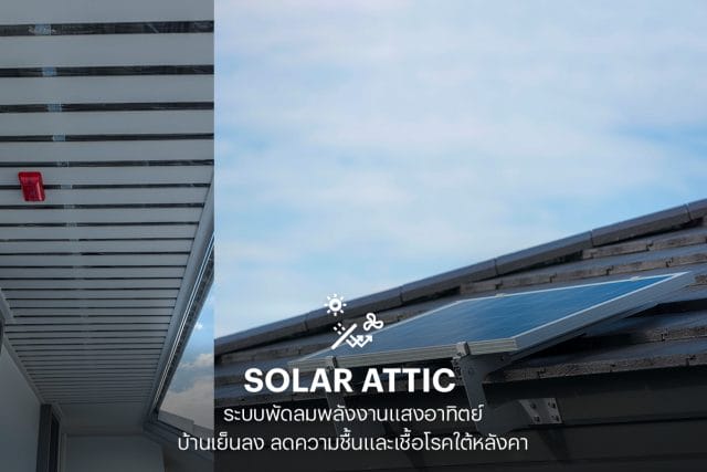 FacebooCooliving Designed Home - SolarCooliving Designed Home - Solar Attic