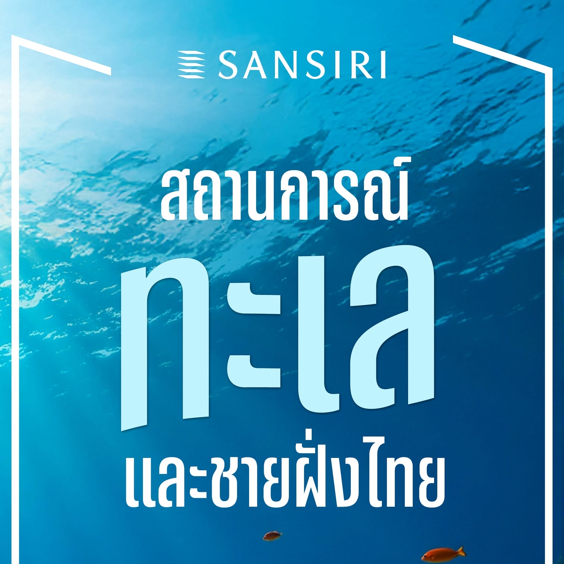 สถานการณ์ทะเลและชายฝั่งไทย พาไปส่องที่มาและวิธีรักษาให้ลึกถึงกันสมุทร