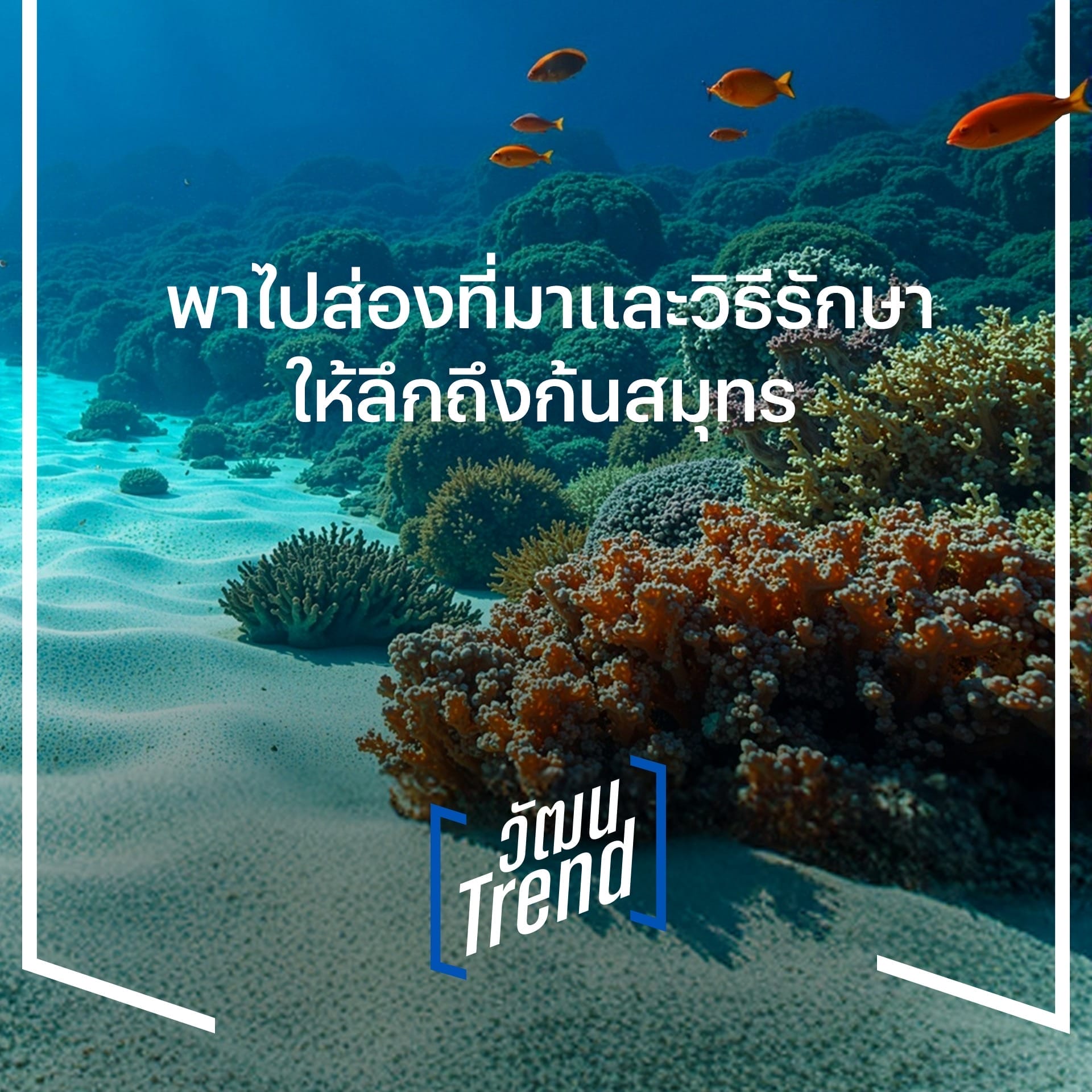 สถานการณ์ทะเลและชายฝั่งไทย พาไปส่องที่มาและวิธีรักษาให้ลึกถึงกันสมุทร