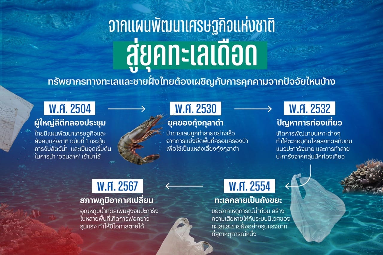 สถานการณ์ทะเลและชายฝั่งไทย พาไปส่องที่มาและวิธีรักษาให้ลึกถึงกันสมุทร