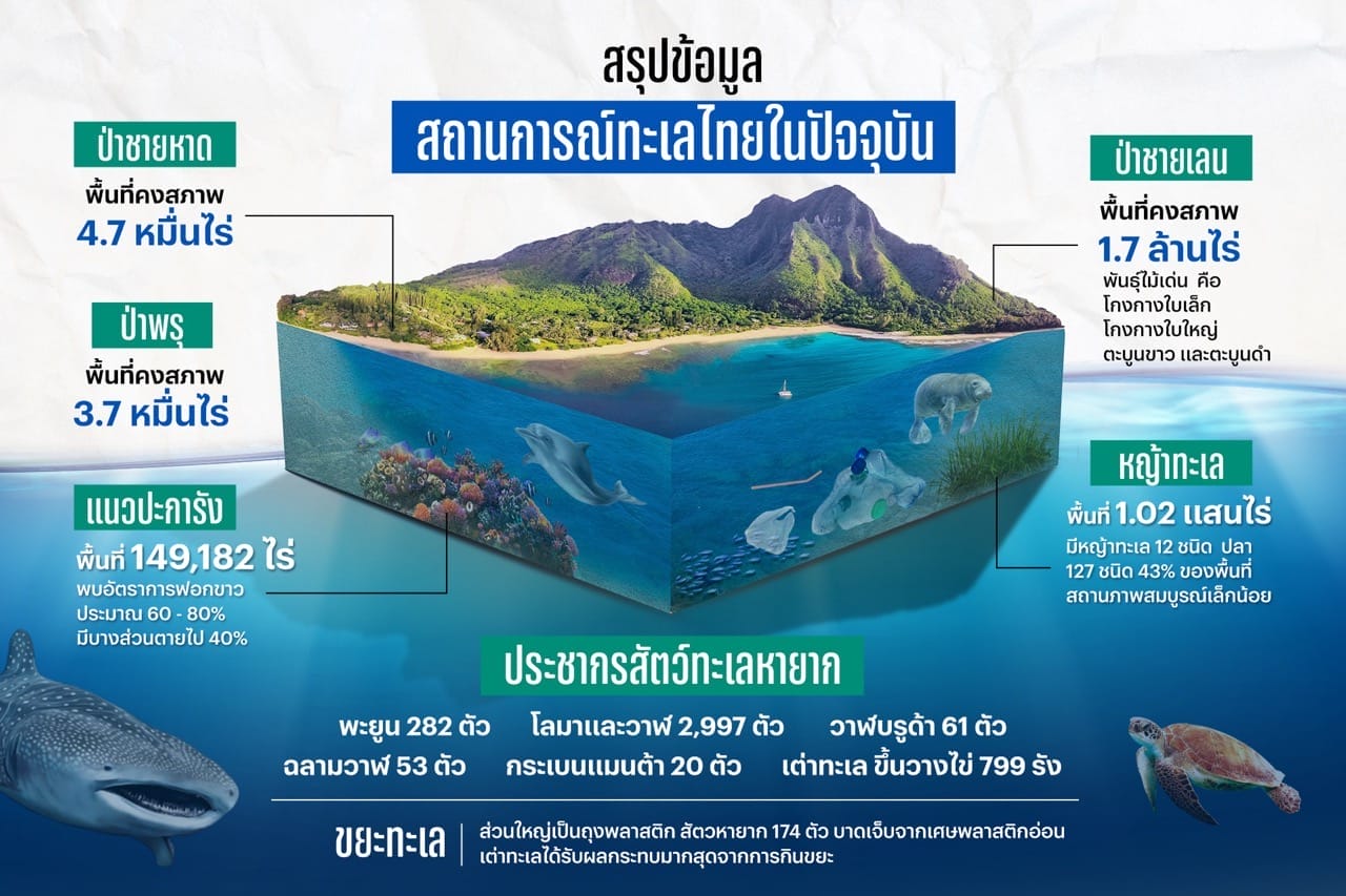 สถานการณ์ทะเลและชายฝั่งไทย พาไปส่องที่มาและวิธีรักษาให้ลึกถึงกันสมุทร