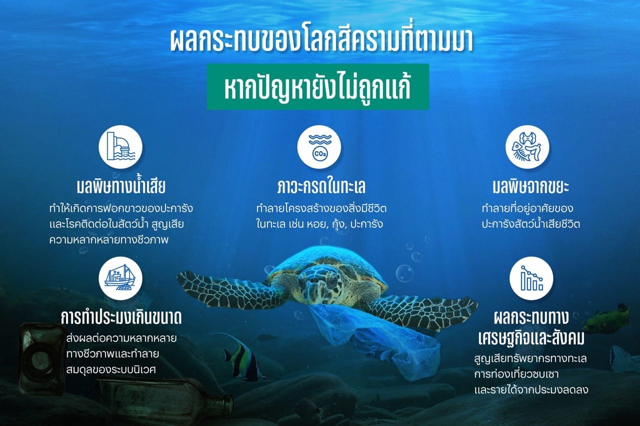 สถานการณ์ทะเลและชายฝั่งไทย พาไปส่องที่มาและวิธีรักษาให้ลึกถึงกันสมุทร