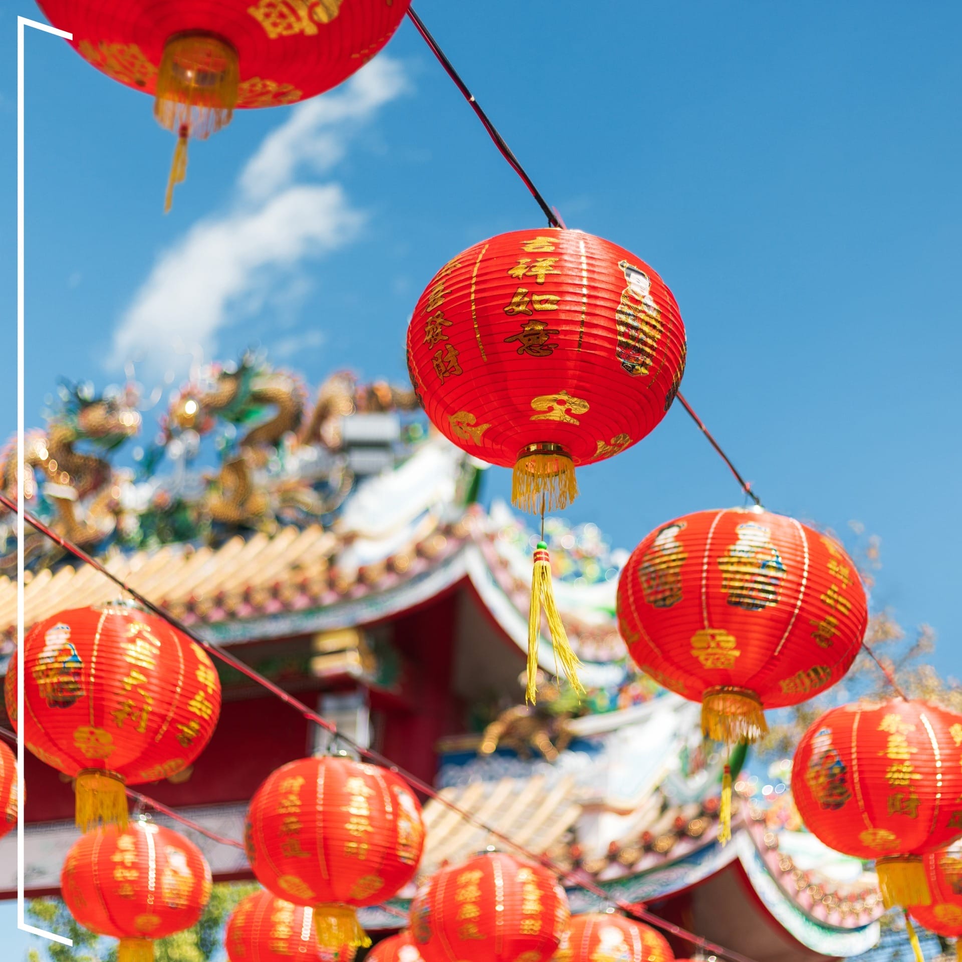 chinese new year