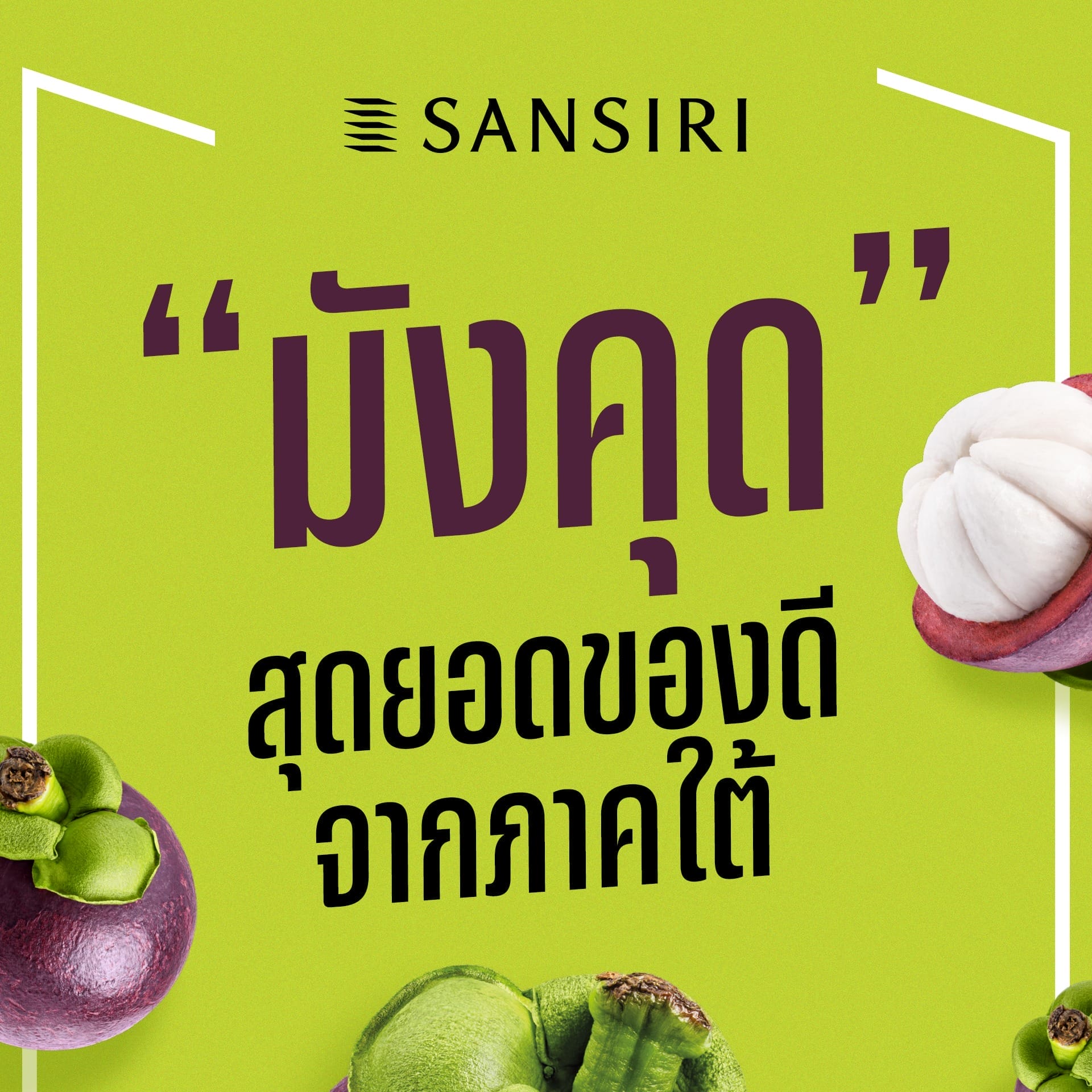 mangosteen